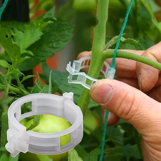 Plant Support Clips - Pack Of 50