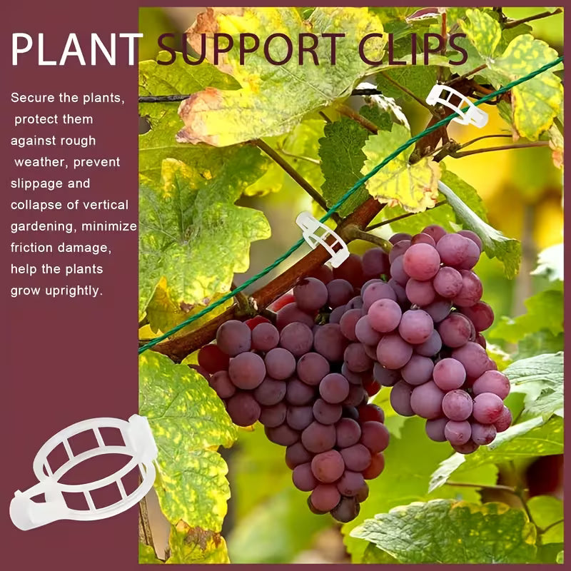 Plant Support Clips - Pack Of 50