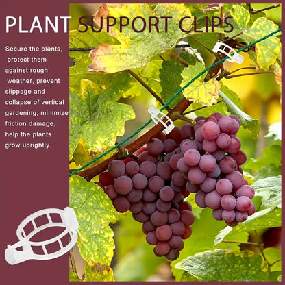 Plant Support Clips - Pack Of 50