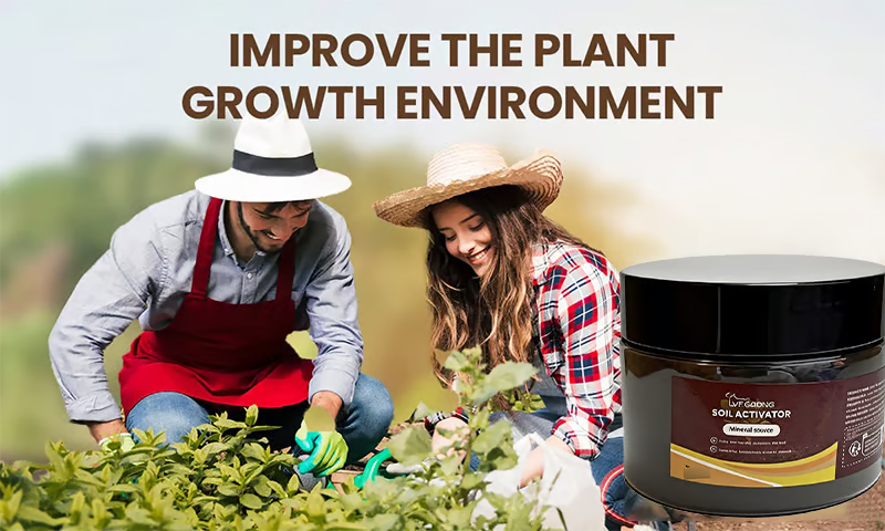 🌳Soil Pro Activator - Pack of 2