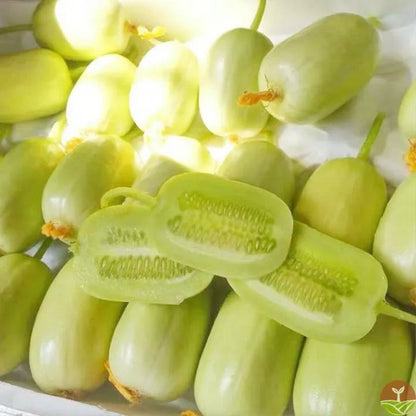 Thumb Cucumber - Jade Lady Cucumber Seeds + Plant Growth Supplement Free
