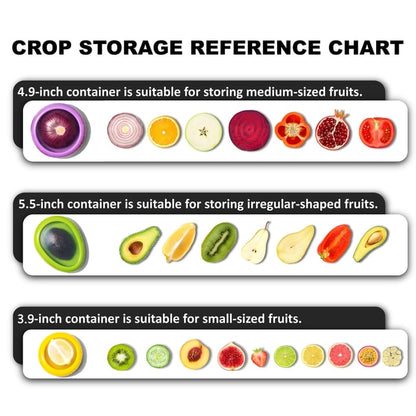 Fruit And Vegetable Anti-Oxidation Storage Box - Pack Of 4