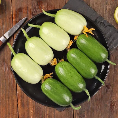Thumb Cucumber - Jade Lady Cucumber Seeds + Plant Growth Supplement Free
