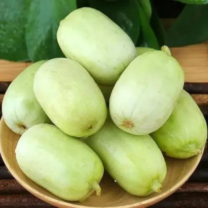 Thumb Cucumber - Jade Lady Cucumber Seeds + Plant Growth Supplement Free