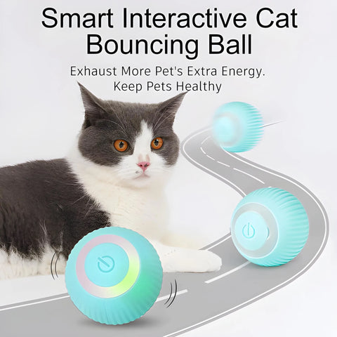 FARLEY Smart Interactive Cat Toy