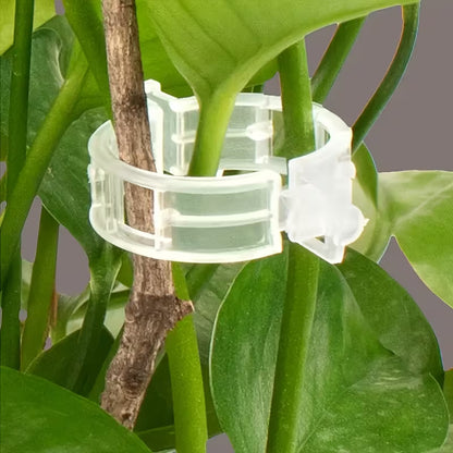 Plant Support Clips - Pack Of 50