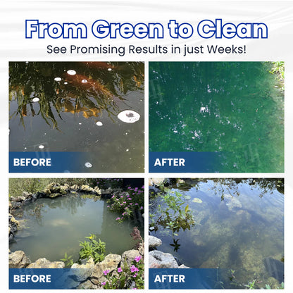 Crystal Clear Water Naturally | Aqua-Guardian Pro Formula
