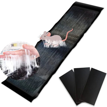 Super Sticky Mouse Trap Pad