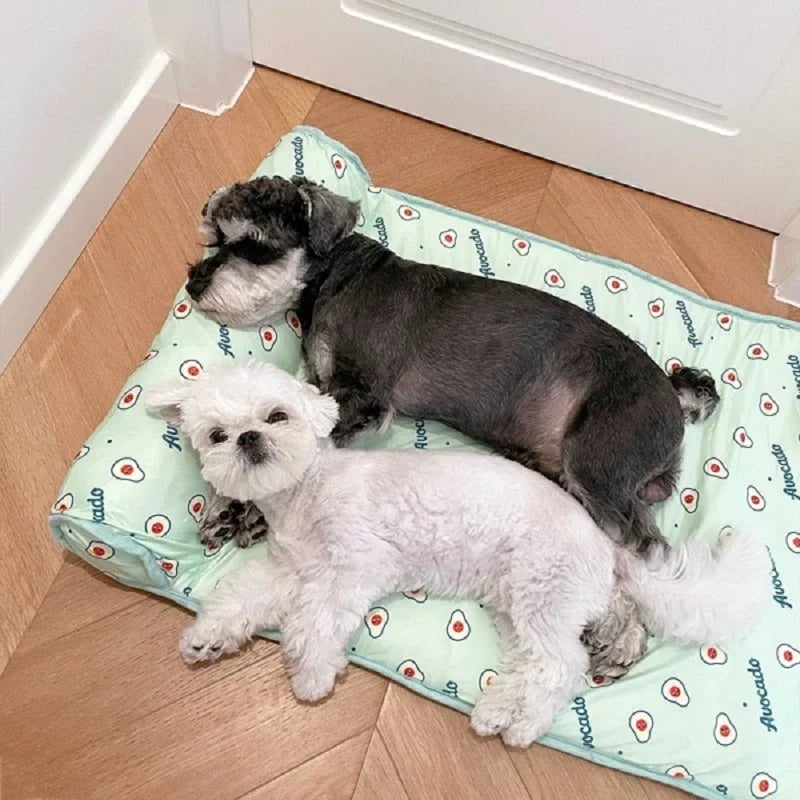 CatsDogs Cooling Bed