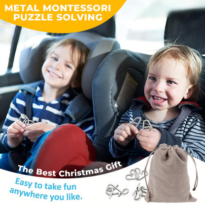 Metal Montessori Puzzle Solving Game