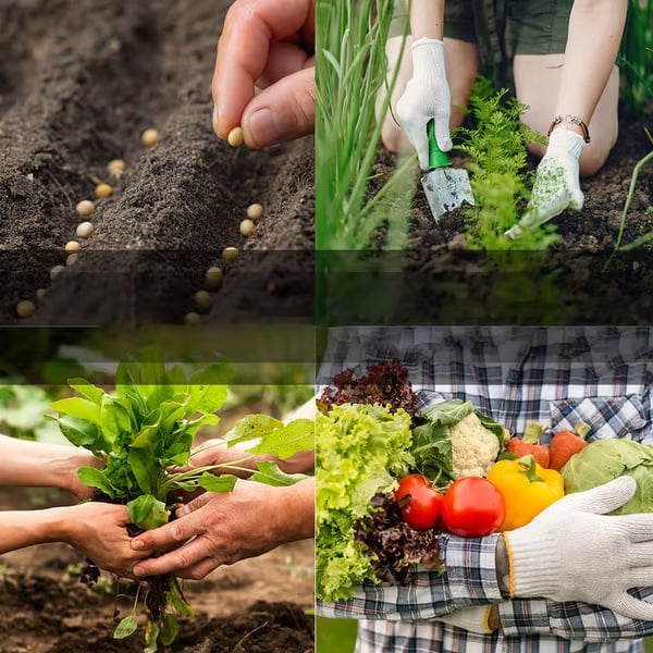 🥦Ultimate Survival Seed Vault (16,000+ Seeds) | 35 Variety Pack🌿|50-Year Shelf Life