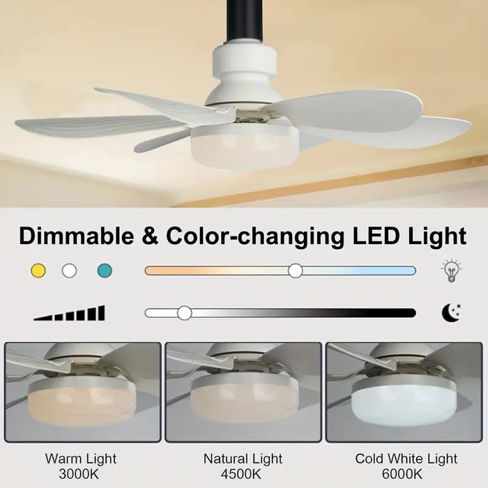2 IN 1 FOLDING FAN