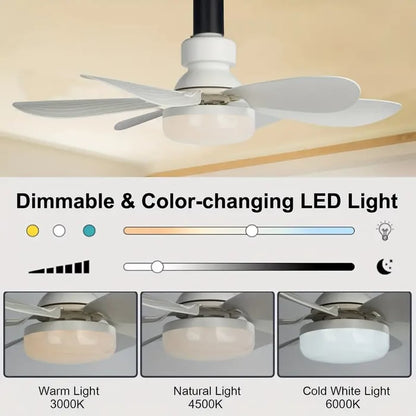 2 IN 1 FOLDING FAN