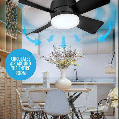 2 IN 1 FOLDING FAN