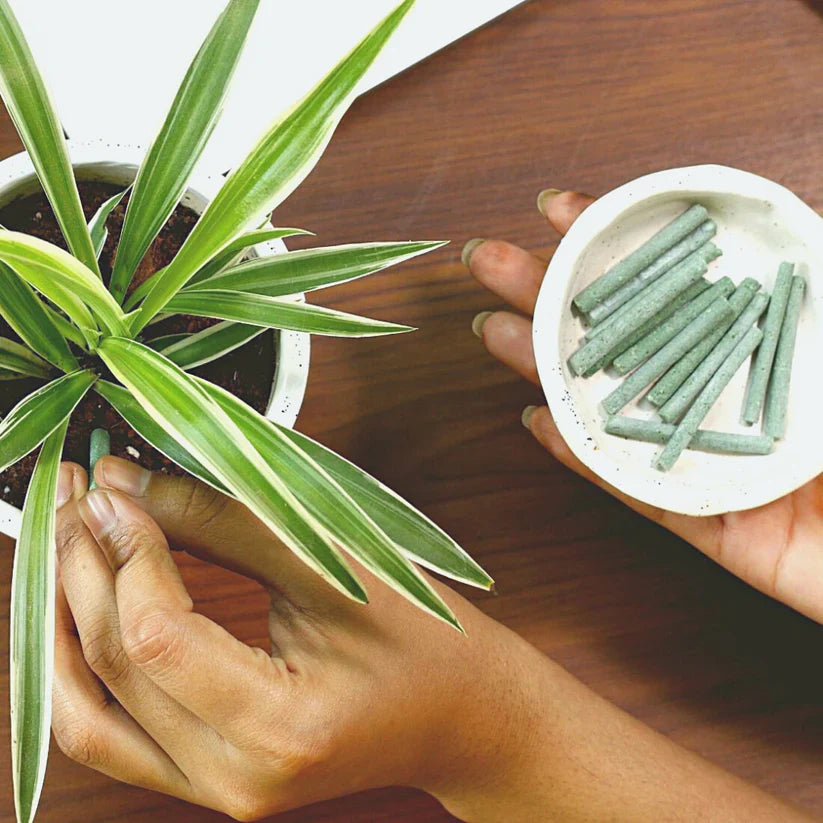 Plant Grow Fertilizer Sticks For Plants