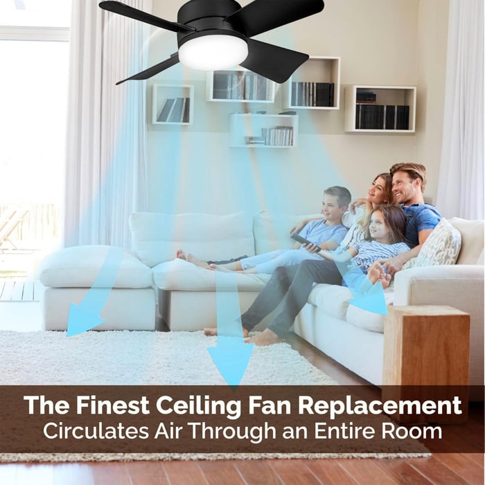 2 IN 1 FOLDING FAN