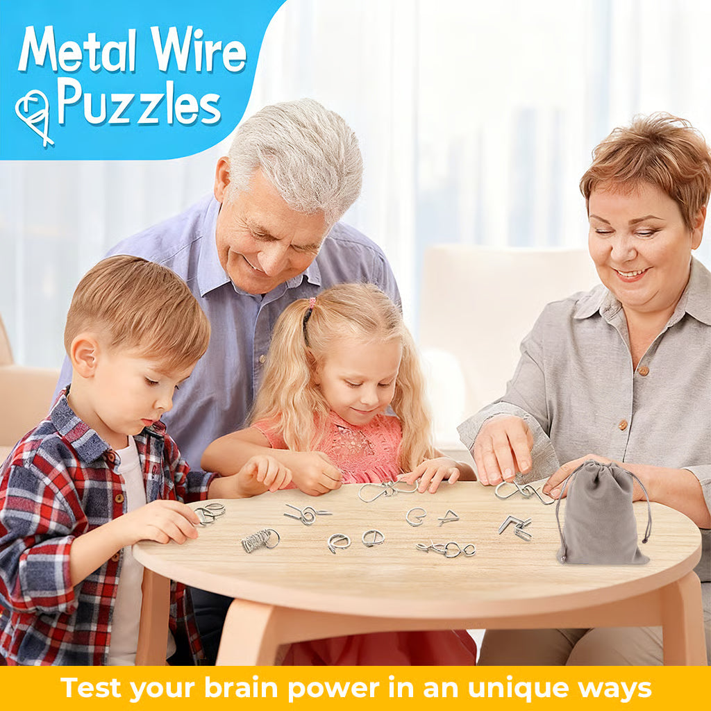 Metal Montessori Puzzle Solving Game