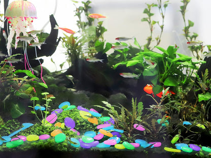 LUMINOUS STONES – MULTI COLOR GLOW STONES (200 PCS)