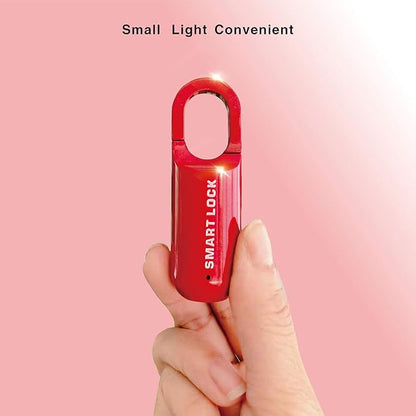 Fingerprint Smartlock