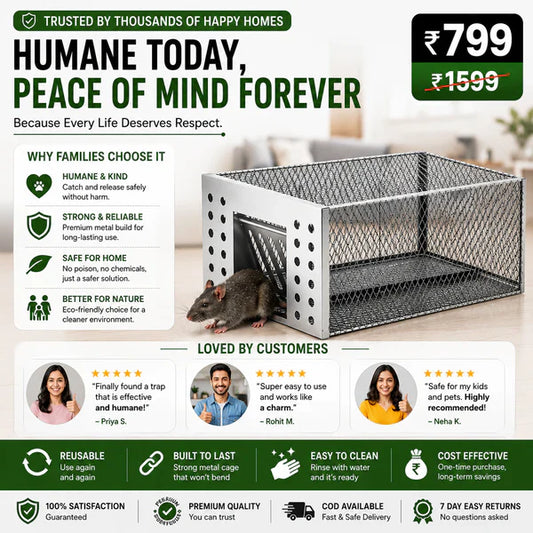 Humane Live Catch & Release Mouse Trap