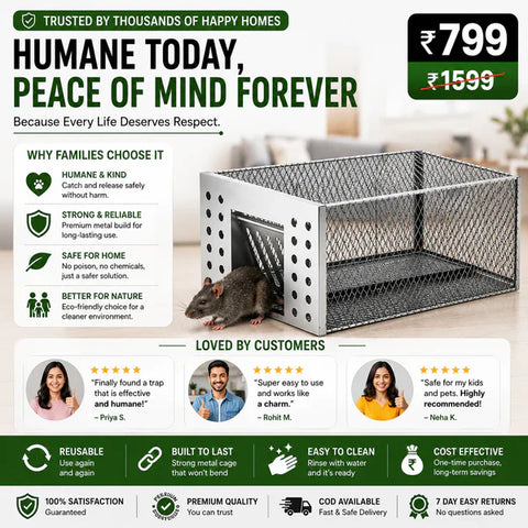 Humane Live Catch & Release Mouse Trap