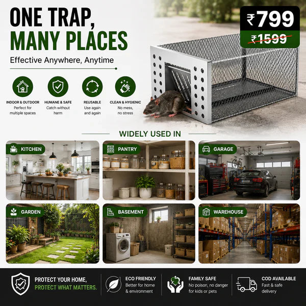 Humane Live Catch & Release Mouse Trap