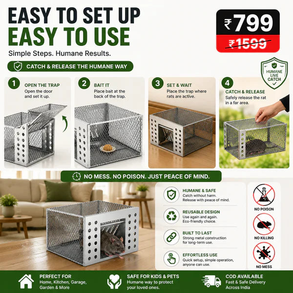 Humane Live Catch & Release Mouse Trap