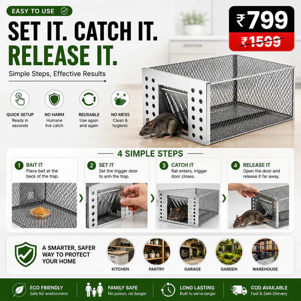Humane Live Catch & Release Mouse Trap