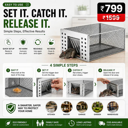 Humane Live Catch & Release Mouse Trap