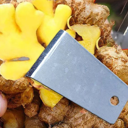 Sharp & Portable Ginger Peeler , Pack of 2