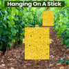 Chipku A5 Yellow Sticky Trap
