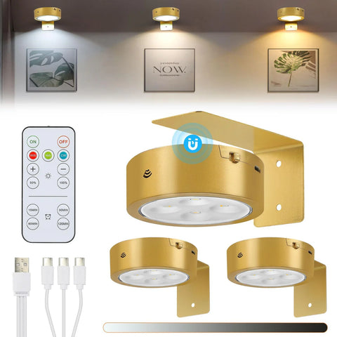 🎁Picture Lights For Wall With 3 Color Temps