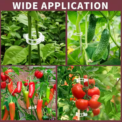 Plant Support Clips - Pack Of 50
