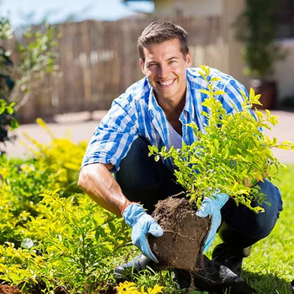 🌳Soil Pro Activator - Pack of 2