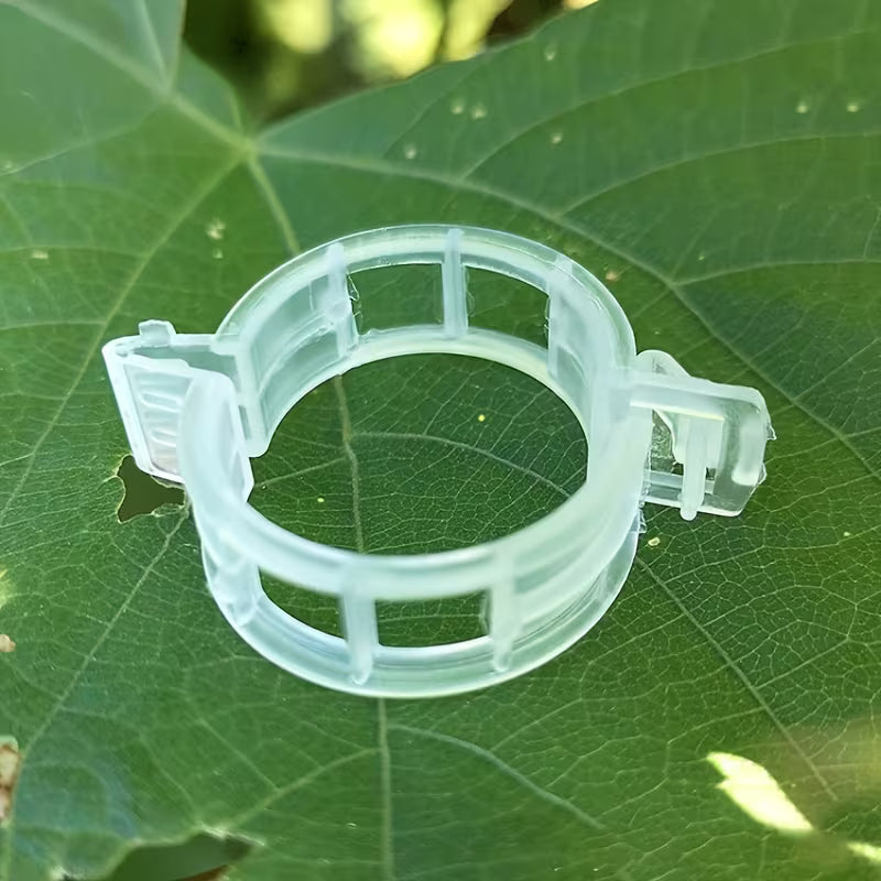 Plant Support Clips - Pack Of 50