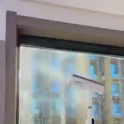 Window cleaner