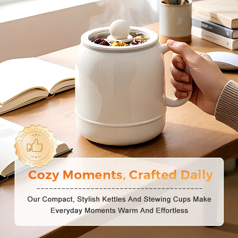 🍲Multi-Function Portable Electric Stewing Cup✨